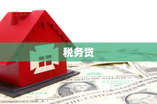 阜康税务贷