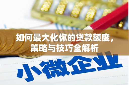 阜康如何最大化你的贷款额度，策略与技巧全解析