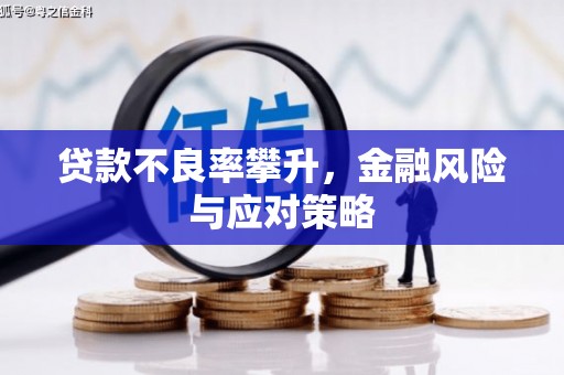 阜康贷款不良率攀升，金融风险与应对策略