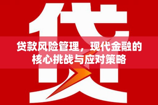 阜康贷款风险管理，现代金融的核心挑战与应对策略