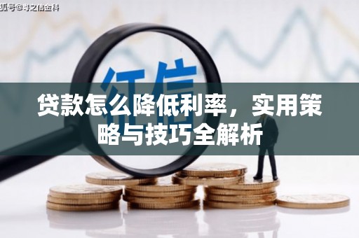 阜康贷款怎么降低利率，实用策略与技巧全解析
