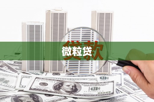 阜康微粒贷