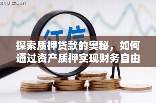 阜康探索质押贷款的奥秘，如何通过资产质押实现财务自由