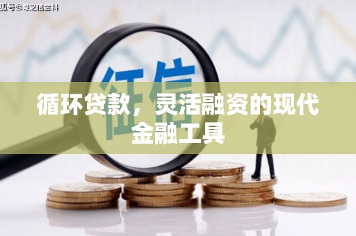 阜康循环贷款，灵活融资的现代金融工具