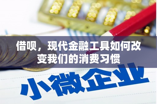 阜康借呗，现代金融工具如何改变我们的消费习惯