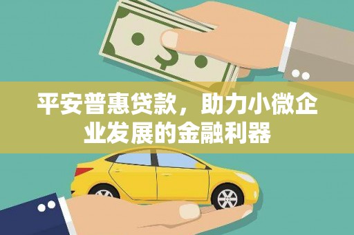 阜康平安普惠贷款，助力小微企业发展的金融利器
