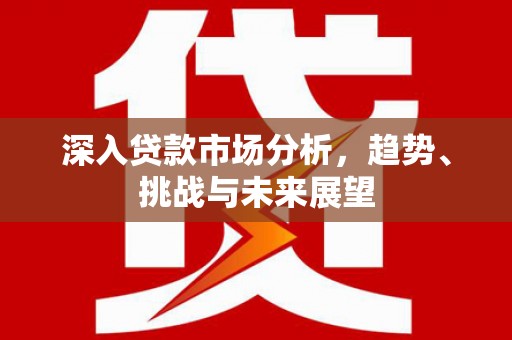 阜康深入贷款市场分析，趋势、挑战与未来展望