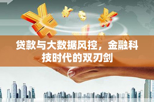 阜康贷款与大数据风控，金融科技时代的双刃剑