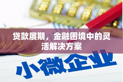 阜康贷款展期，金融困境中的灵活解决方案