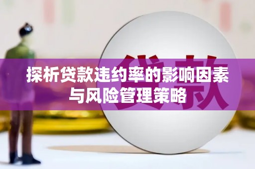 阜康探析贷款违约率的影响因素与风险管理策略