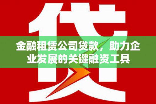 阜康金融租赁公司贷款，助力企业发展的关键融资工具