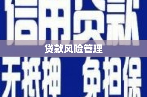 阜康贷款风险管理