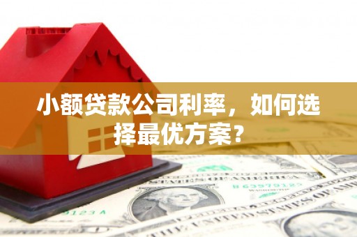 阜康小额贷款公司利率，如何选择最优方案？