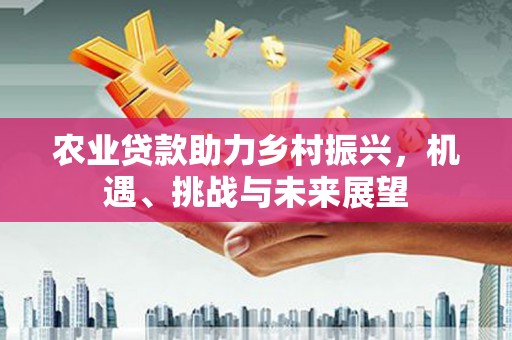 阜康农业贷款助力乡村振兴，机遇、挑战与未来展望