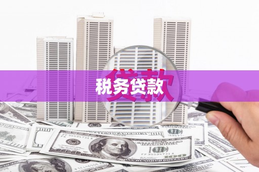 阜康税务贷款