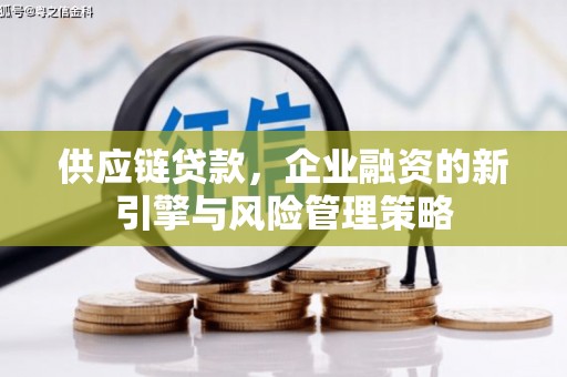 阜康供应链贷款，企业融资的新引擎与风险管理策略