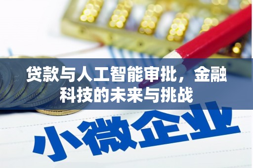 阜康贷款与人工智能审批，金融科技的未来与挑战