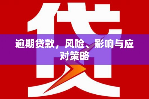 阜康逾期贷款，风险、影响与应对策略