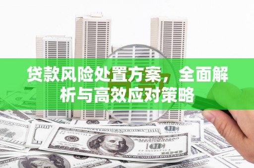 阜康贷款风险处置方案，全面解析与高效应对策略