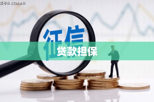 阜康贷款担保