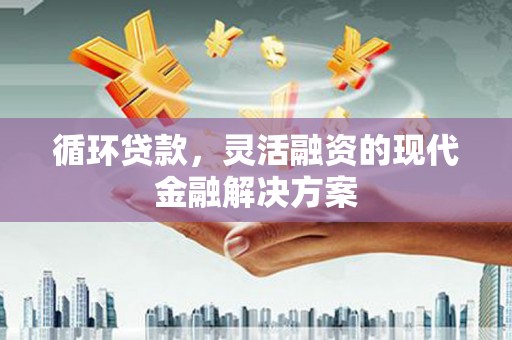 阜康循环贷款，灵活融资的现代金融解决方案