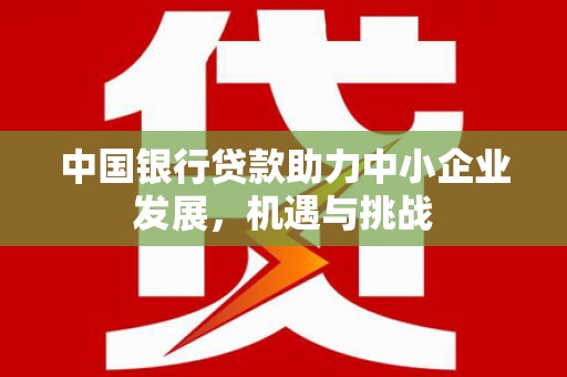 阜康中国银行贷款助力中小企业发展，机遇与挑战
