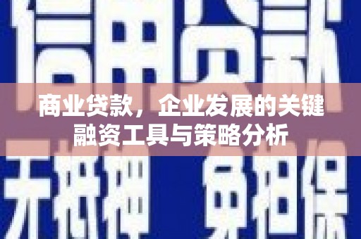 阜康商业贷款，企业发展的关键融资工具与策略分析
