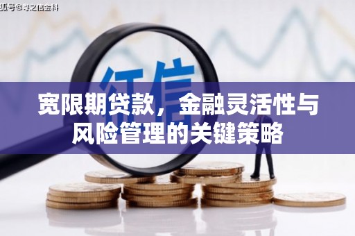 阜康宽限期贷款，金融灵活性与风险管理的关键策略