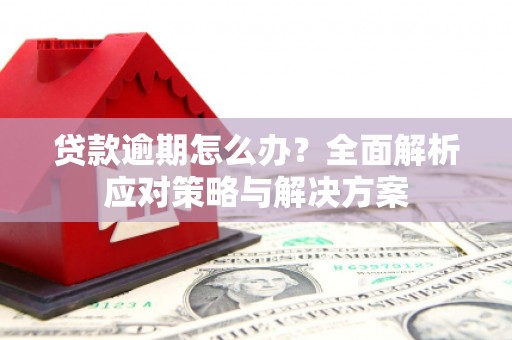 阜康贷款逾期怎么办？全面解析应对策略与解决方案