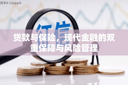阜康贷款与保险，现代金融的双重保障与风险管理