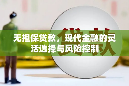阜康无担保贷款，现代金融的灵活选择与风险控制