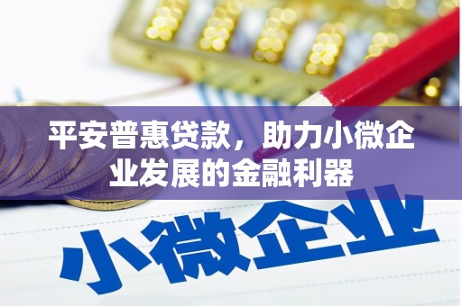 阜康平安普惠贷款，助力小微企业发展的金融利器