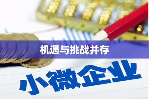 阜康机遇与挑战并存
