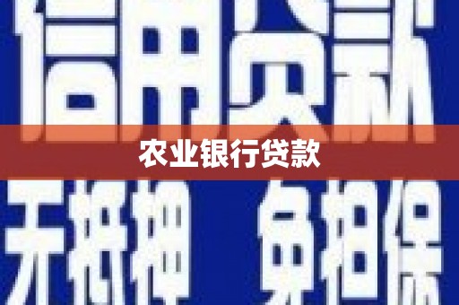 阜康农业银行贷款
