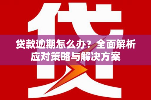 阜康贷款逾期怎么办？全面解析应对策略与解决方案