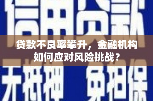 阜康贷款不良率攀升，金融机构如何应对风险挑战？