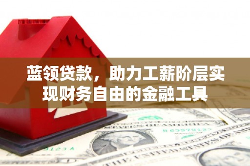 阜康蓝领贷款，助力工薪阶层实现财务自由的金融工具