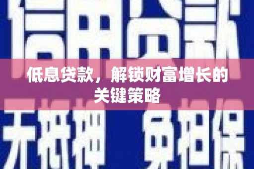 阜康低息贷款，解锁财富增长的关键策略
