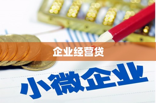 阜康企业经营贷