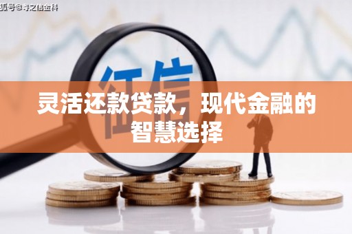 阜康灵活还款贷款，现代金融的智慧选择