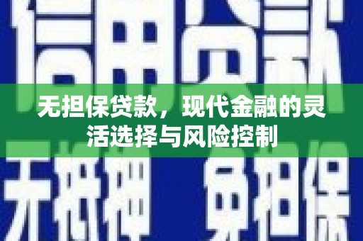 阜康无担保贷款，现代金融的灵活选择与风险控制
