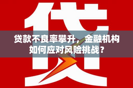 阜康贷款不良率攀升，金融机构如何应对风险挑战？