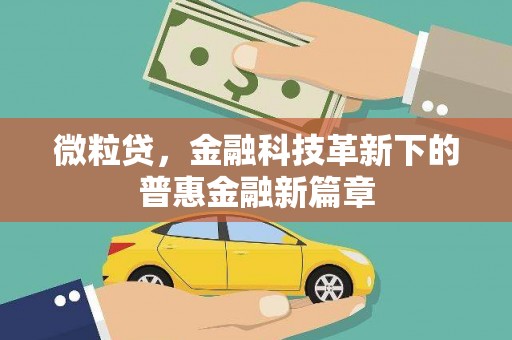 阜康微粒贷，金融科技革新下的普惠金融新篇章