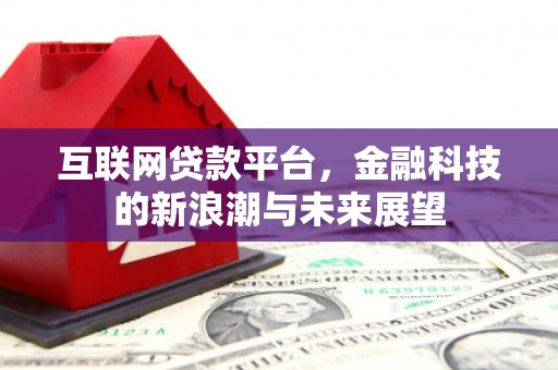 阜康互联网贷款平台，金融科技的新浪潮与未来展望