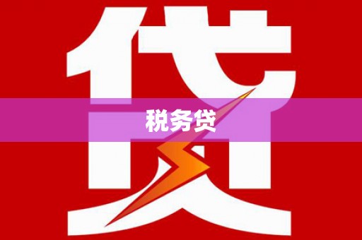 阜康税务贷