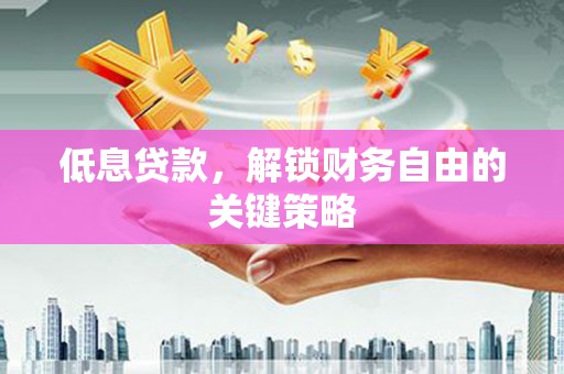 阜康低息贷款，解锁财务自由的关键策略