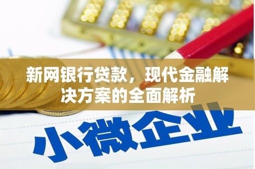 阜康新网银行贷款，现代金融解决方案的全面解析