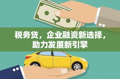 阜康税务贷，企业融资新选择，助力发展新引擎