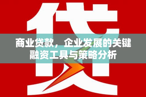阜康商业贷款，企业发展的关键融资工具与策略分析