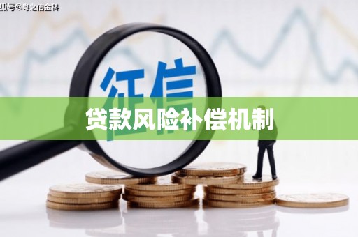 阜康贷款风险补偿机制